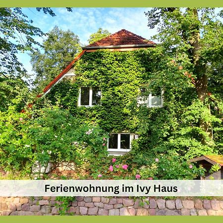 Ivy Haus Lejlighed Falkensee Eksteriør billede